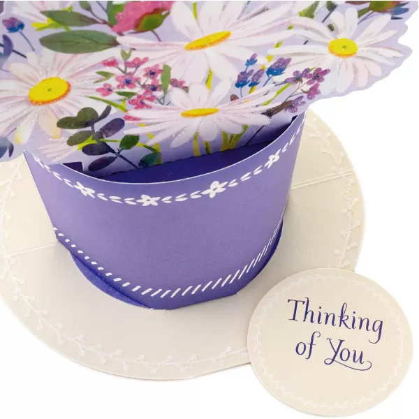 Hallmark Signature Blank Card RainbowPop Up  Displayable Daisy Bouquet