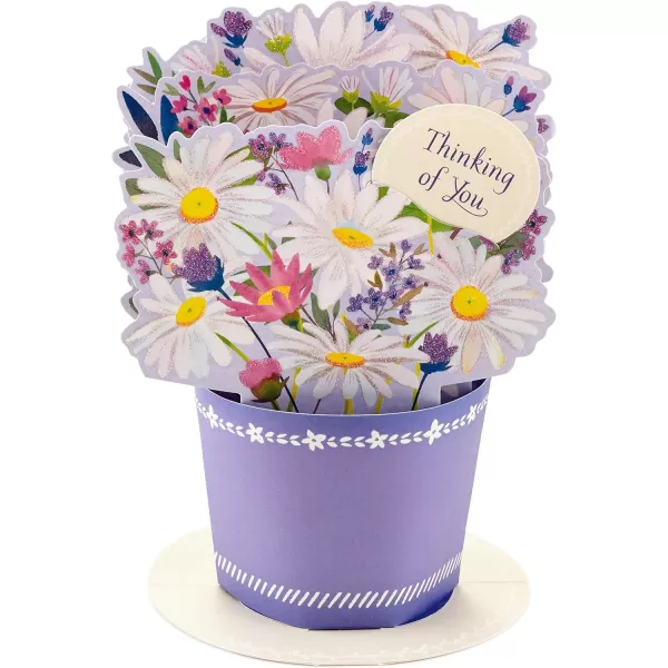 Hallmark Signature Blank Card RainbowPop Up  Displayable Daisy Bouquet