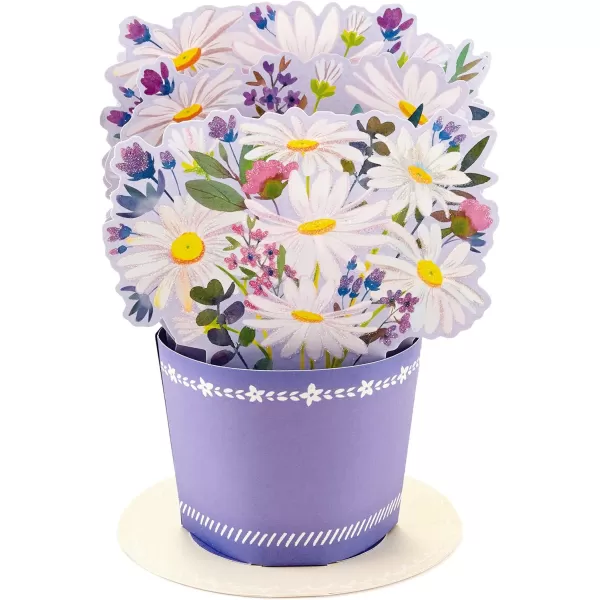 Hallmark Signature Blank Card RainbowPop Up  Displayable Daisy Bouquet