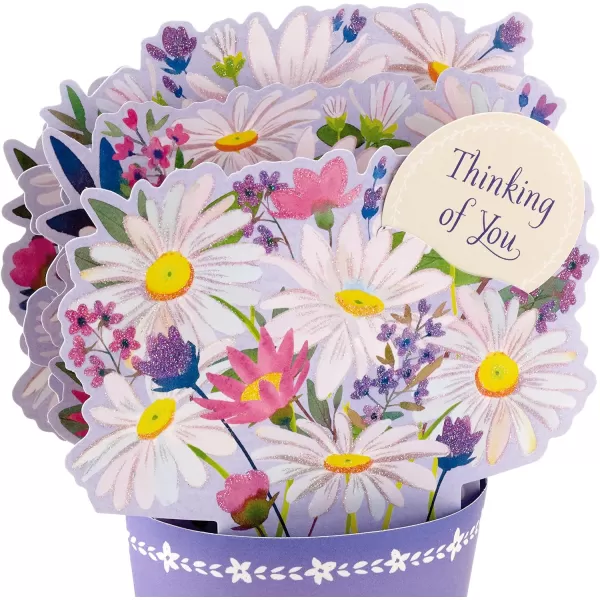 Hallmark Signature Blank Card RainbowPop Up  Displayable Daisy Bouquet