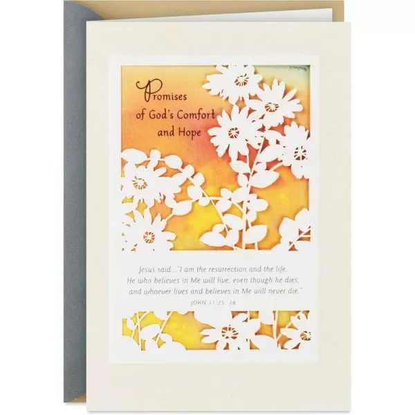 Hallmark DaySpring Religious Sympathy Card Gods Comfort and HopeGods Comfort and Hope