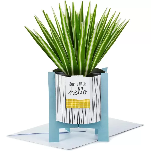 Hallmark Paper Wonder Pop Up Card Potted Spider Plant for Mothers Day Nures Day Admin Professional Day Any OccasionPop Up  Potted Spider Plant