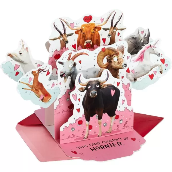 Hallmark Shoebox Funny Anniversary Card All Night Long for Birthday Love Just Because and MorePop Up  Horny Animals