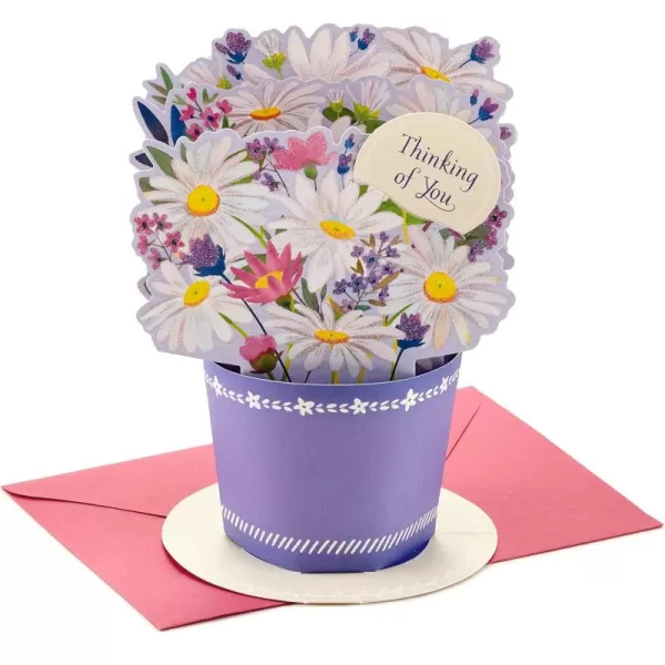 Hallmark Signature Blank Card RainbowPop Up  Displayable Daisy Bouquet