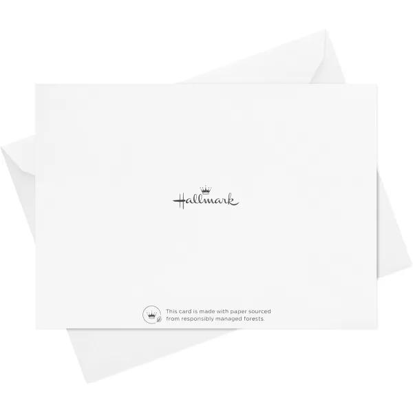 Hallmark 2024 Graduation Thank You Cards 40 Thank You Notes with Envelopes Gold Graduation Cap2023  Gold Foil Thank You Notes