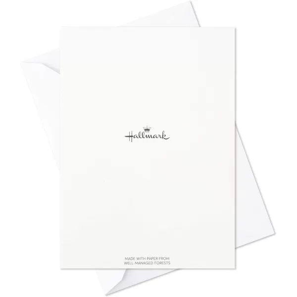 Hallmark Blank Cards Assortment Nature Prints 48 Cards with EnvelopesBlank Card Assortment