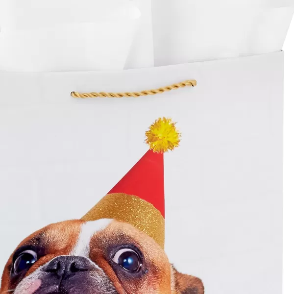 Hallmark 13quot Large Birthday Gift Bag with Birthday Card and Tissue Paper Dog Did Someone Mention Cake for Kids Parents Coworkers Friends