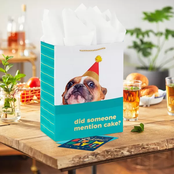 Hallmark 13quot Large Birthday Gift Bag with Birthday Card and Tissue Paper Dog Did Someone Mention Cake for Kids Parents Coworkers Friends