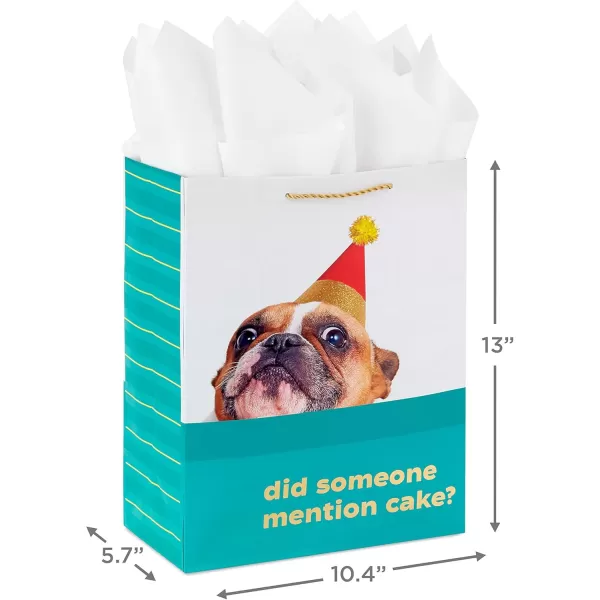 Hallmark 13quot Large Birthday Gift Bag with Birthday Card and Tissue Paper Dog Did Someone Mention Cake for Kids Parents Coworkers Friends