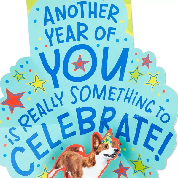 Hallmark Pop Up Birthday Card Birthday DogBirthday Dog