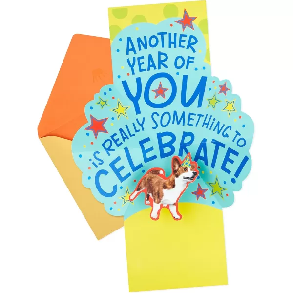 Hallmark Pop Up Birthday Card Birthday DogBirthday Dog