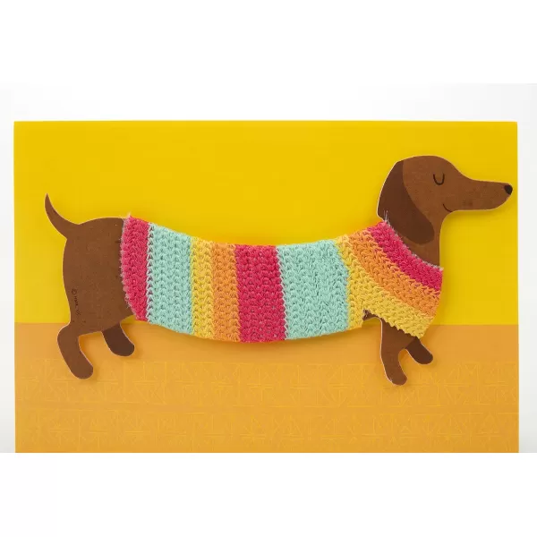 Hallmark Pop Up Birthday Card Birthday DogDog in Sweater