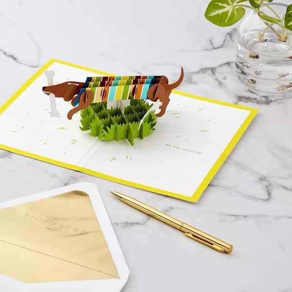 Hallmark Signature Paper Wonder Pop Up Birthday Card Everything GoodPop Up  Dachshund  Happy All Day Long