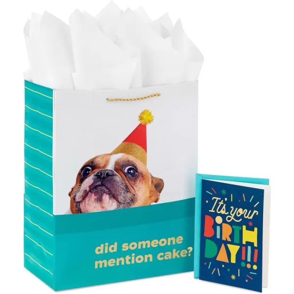 Hallmark 13quot Large Birthday Gift Bag with Birthday Card and Tissue Paper Dog Did Someone Mention Cake for Kids Parents Coworkers Friends