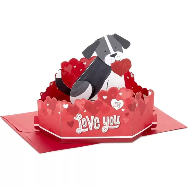 Hallmark Paper Wonder Pop Up Anniversary Card Love Where Were Going 899RZW1043Pop Up  Dog