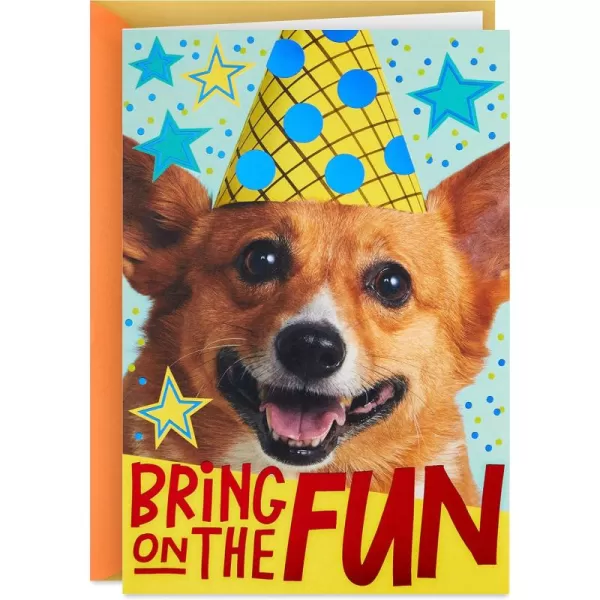 Hallmark Pop Up Birthday Card Birthday DogBirthday Dog