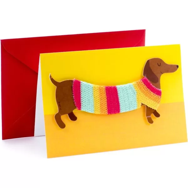 Hallmark Pop Up Birthday Card Birthday DogDog in Sweater