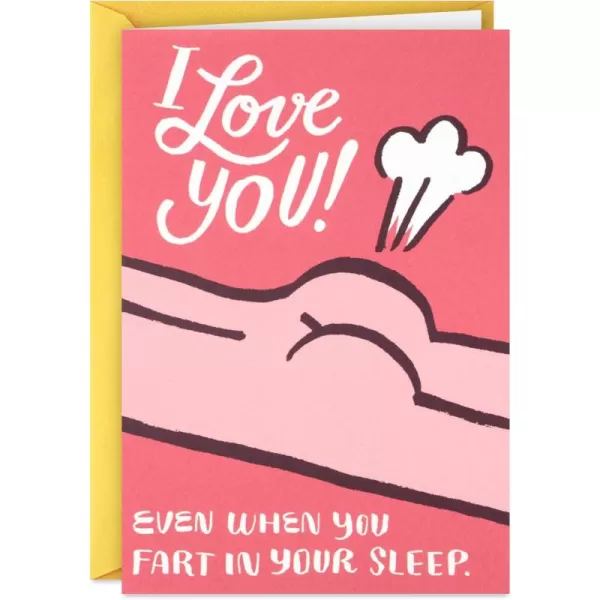 Hallmark Shoebox Funny Love Card for Significant Other Fart in Your SleepFart in Your Sleep