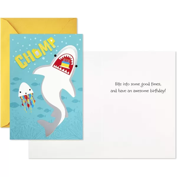 Hallmark Assorted Birthday Greeting Cards 12 Cards and EnvelopesAssorted Birthday 24 Count