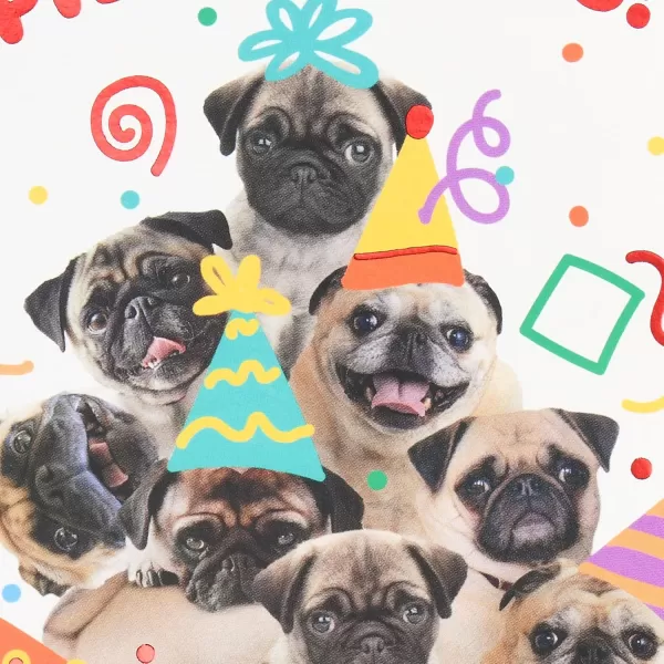 Hallmark Cute Birthday Cards 6 Cards with Envelopes Pile of Pugs