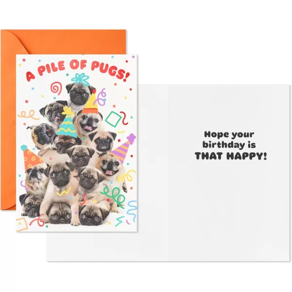 Hallmark Cute Birthday Cards 6 Cards with Envelopes Pile of Pugs