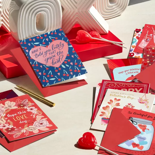 Hallmark Birthday Cards Assortment 12 Cards with Envelopes Premium Refill Pack Card Organizer Box12 Card Assortment  All Valentine Needs