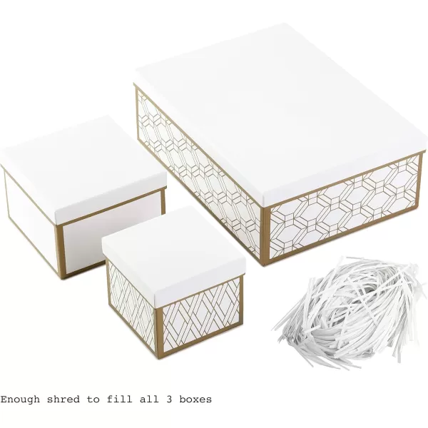 Hallmark Nested Gift Boxes with Lids and Fill Set of 3 White and Gold Assorted Sizes for Valentines Day Weddings Bridal Showers and More