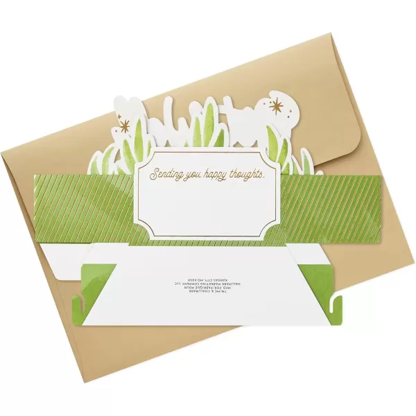 Hallmark Paper Wonder Get Well Soon Pop Up Card Plants