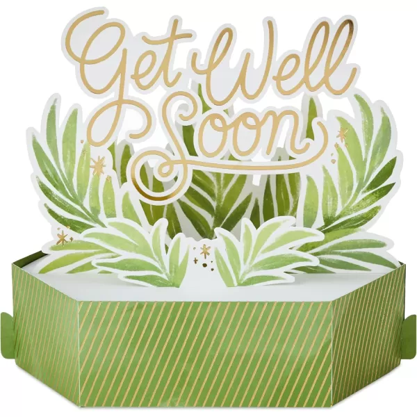 Hallmark Paper Wonder Get Well Soon Pop Up Card Plants