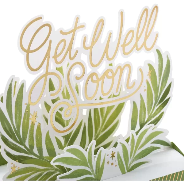 Hallmark Paper Wonder Get Well Soon Pop Up Card Plants