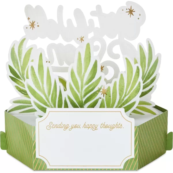 Hallmark Paper Wonder Get Well Soon Pop Up Card Plants