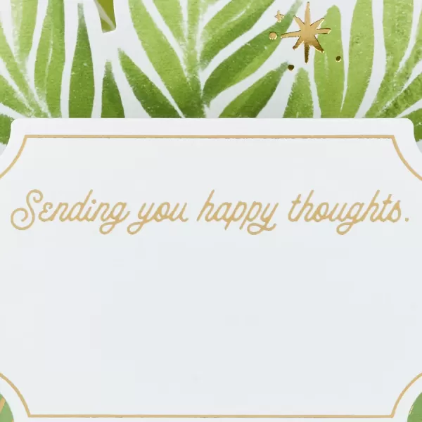 Hallmark Paper Wonder Get Well Soon Pop Up Card Plants