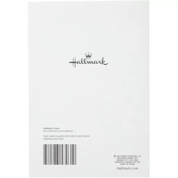 Hallmark Sympathy Cards Assortment Pack 10 Condolence Cards with Envelopes