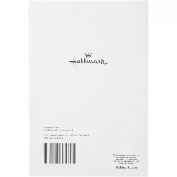 Hallmark Sympathy Cards Assortment Pack 5 Condolence Cards with Envelopes5 Cards  5 Envelopes