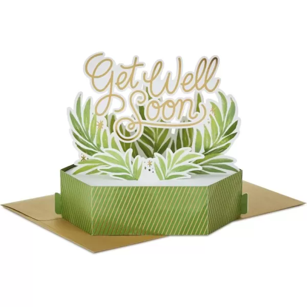 Hallmark Paper Wonder Get Well Soon Pop Up Card Plants