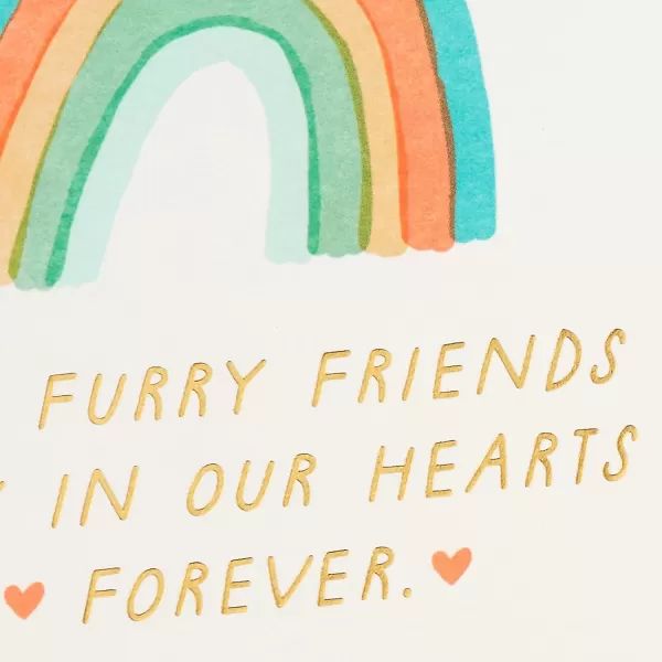 Hallmark Pet Sympathy Cards Assortment Hearts and Rainbows 16 Cards and Envelopes