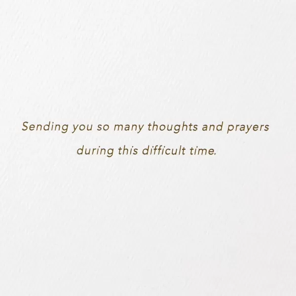 Hallmark Signature Sympathy Card Many Thoughts and PrayersSpirit Lives On