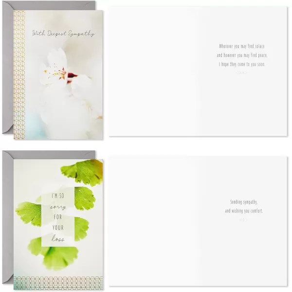 Hallmark Sympathy Cards Assortment Nature 16 Assorted Thinking of You Cards with Envelopes