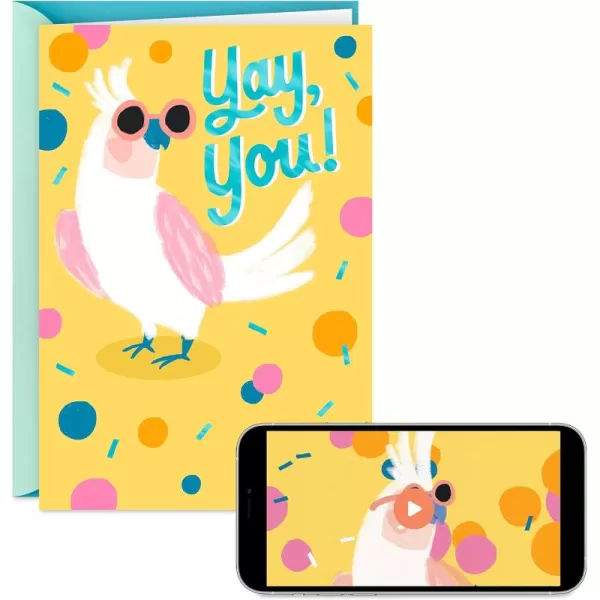 Hallmark Congratulations Card or Graduation Card So Happy for YouYay You  Record Your Own Video Greeting