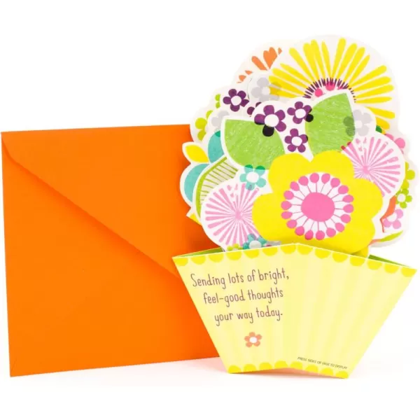 Hallmark Get Well Card Pop Up Flowers 0699RZB1245