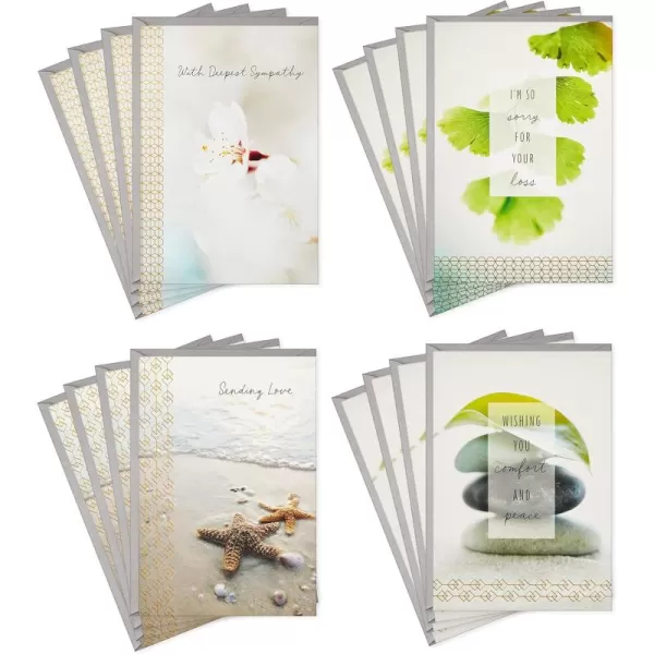 Hallmark Sympathy Cards Assortment Nature 16 Assorted Thinking of You Cards with Envelopes