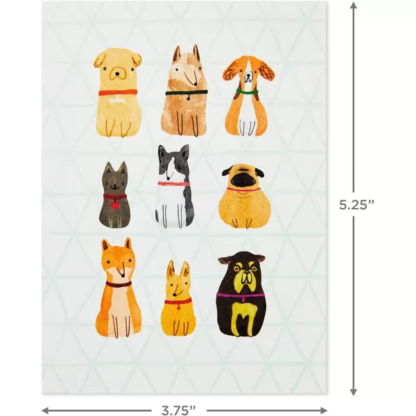 Hallmark Blank Cards Colorful Dogs 20 Cards with EnvelopesDogs  Cats