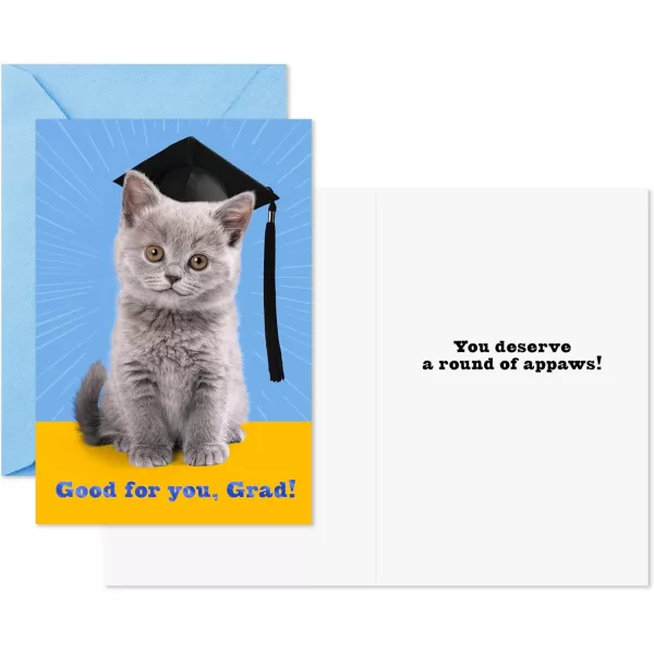 Hallmark Grade School Graduation Cards for Kids 6 Cards with Envelopes for Preschool Kindergarten 6th Grade 8th Grade and Middle School GraduatesKid Graduates  6 Cards