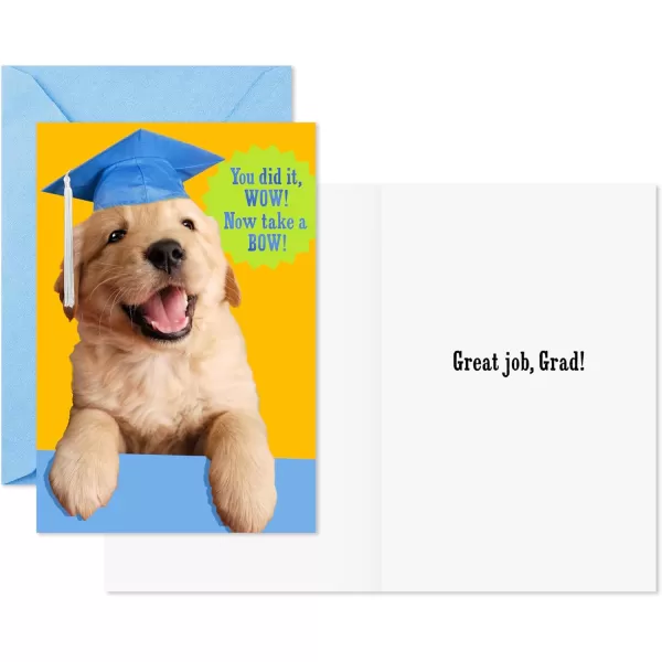 Hallmark Grade School Graduation Cards for Kids 6 Cards with Envelopes for Preschool Kindergarten 6th Grade 8th Grade and Middle School GraduatesKid Graduates  6 Cards