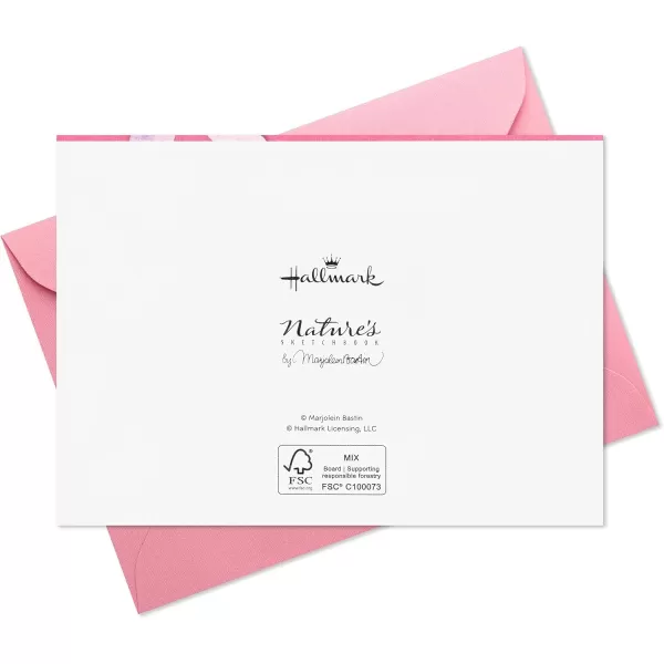 Hallmark Marjorlein Bastin Floral Notecards 20 Blank Cards with Envelopes Butterfly ampamp Hummingbird