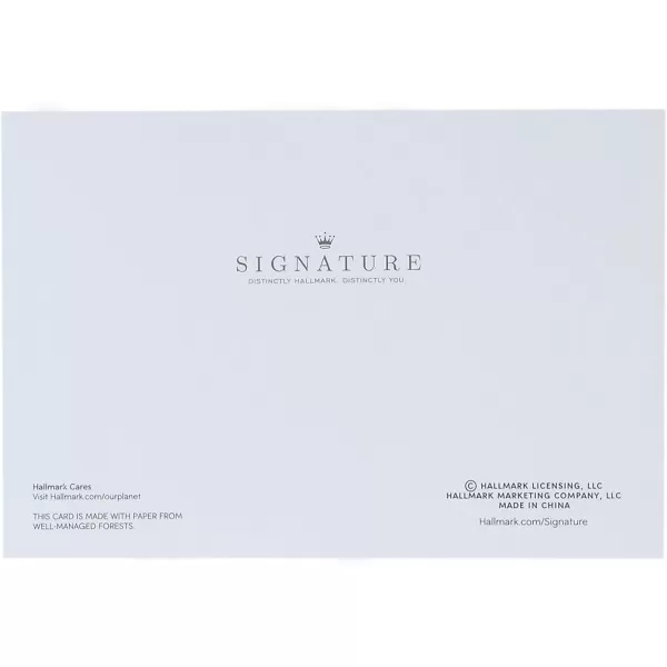 Hallmark Signature Graduation Card Came Saw GraduatedCongrats Streamer Banner