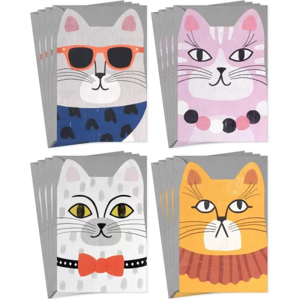 Hallmark Cute Cat Note Card Assortment 16 Blank Cards with Envelopes for Kids Teens Teachers