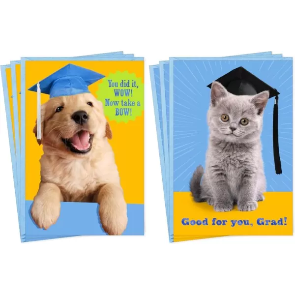 Hallmark Grade School Graduation Cards for Kids 6 Cards with Envelopes for Preschool Kindergarten 6th Grade 8th Grade and Middle School GraduatesKid Graduates  6 Cards