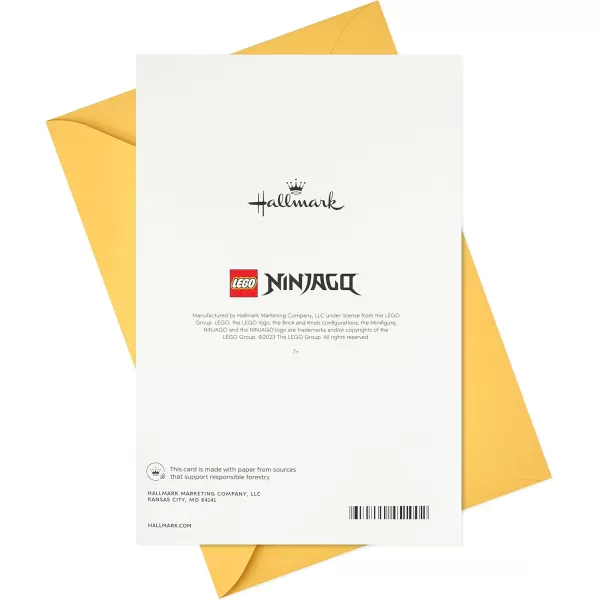 Hallmark Birthday Card for Kids with Legos Ninjago Mini Thunder Raider Building Kit Ages 7 and UpNinjago Mini Thunder Raider Building Kit  Ages 7 and Up