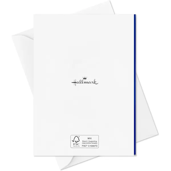 Hallmark Bulk Graduation Thank You Cards 48 Thank You Notes with Envelopes Blue and BlackBlack and Blue